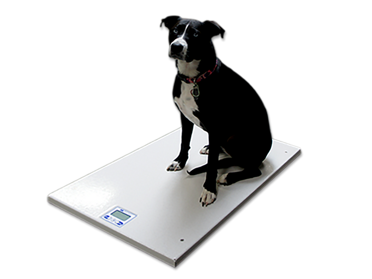 24" x 36" Mobile Veterinary Platform Scale (SRV945)