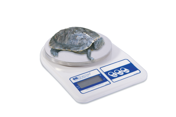 5000 Gram Scale (SRV320)