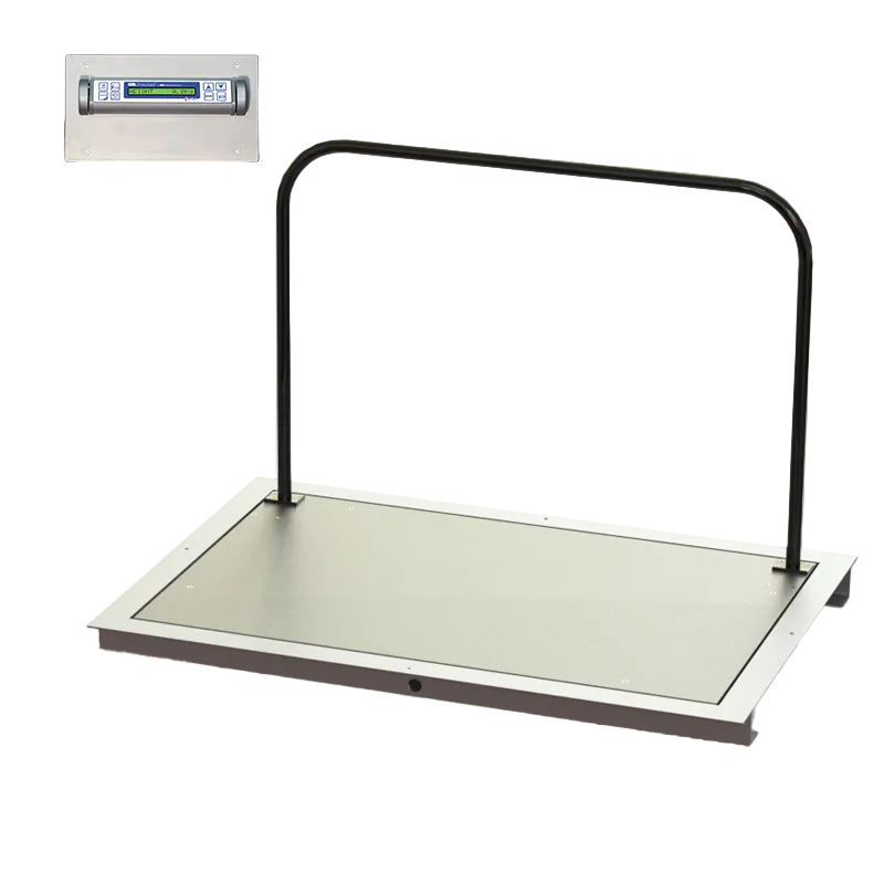 32" x 50" In-Floor Scale (SR463iR-3)