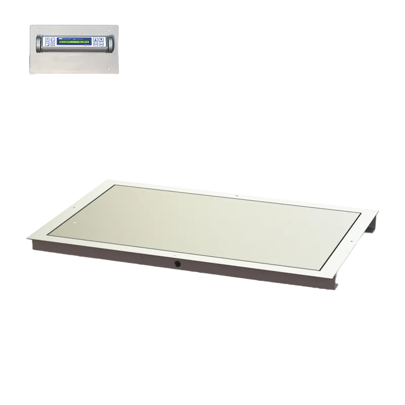 32" x 50" In-Floor Scale (SR463iR-3)