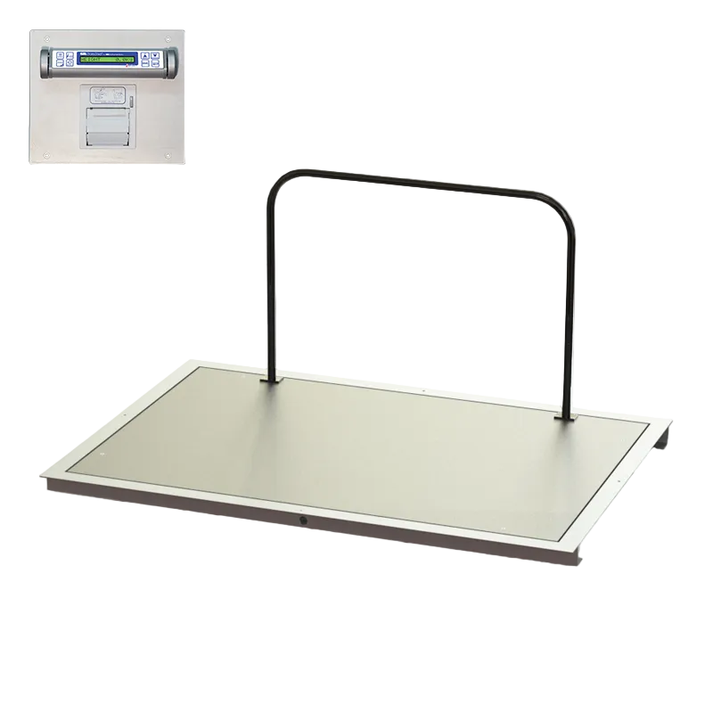 48" x 60" In-Floor Scale (SR463iR-4)