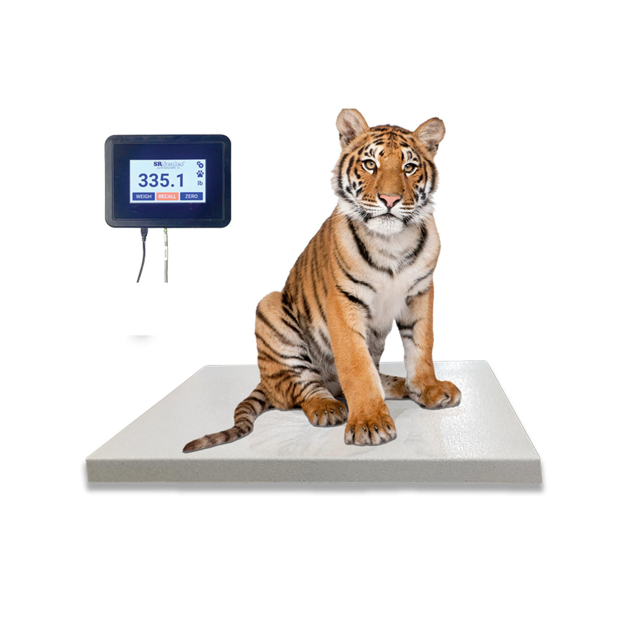 Zoo Platform Scale 36" x 54" Touch Screen Display (SRV709)