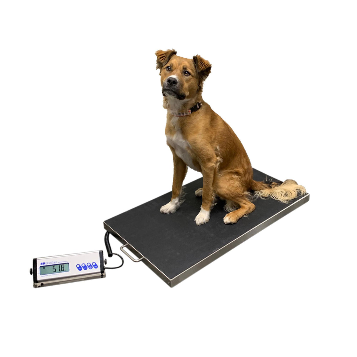 22" x 36" Heavy Duty Portable Veterinary Scale - Stainless Steel (SRV942SS)
