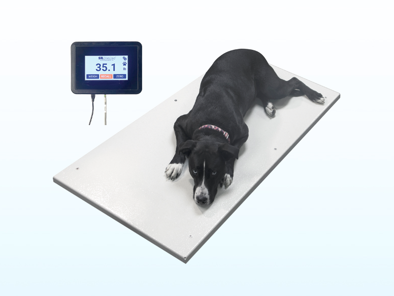 24" x 60" Veterinary Floor Scale (SRV959)
