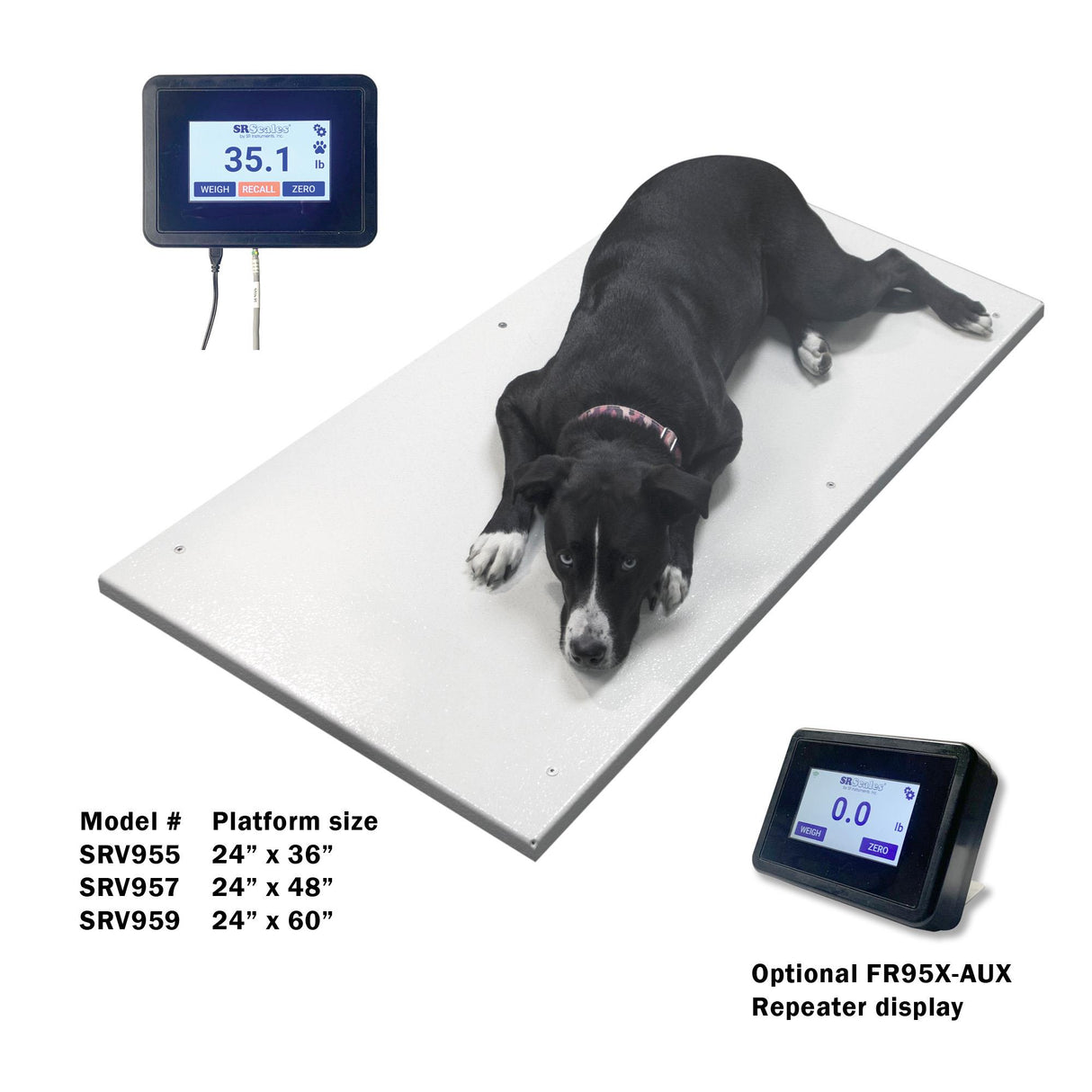 24" x 60" Veterinary Floor Scale (SRV959)