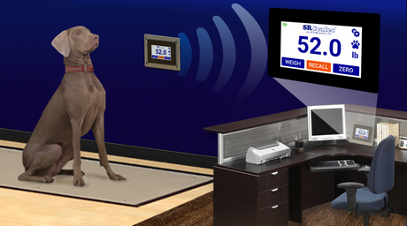 Veterinary In-Floor Scales