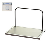 32" x 50" In-Floor Scale (SR463iR-3)