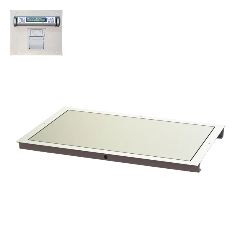 32" x 50" In-Floor Scale (SR463iR-3)
