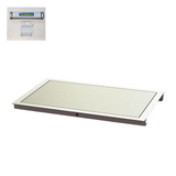 32" x 50" In-Floor Scale (SR463iR-3)