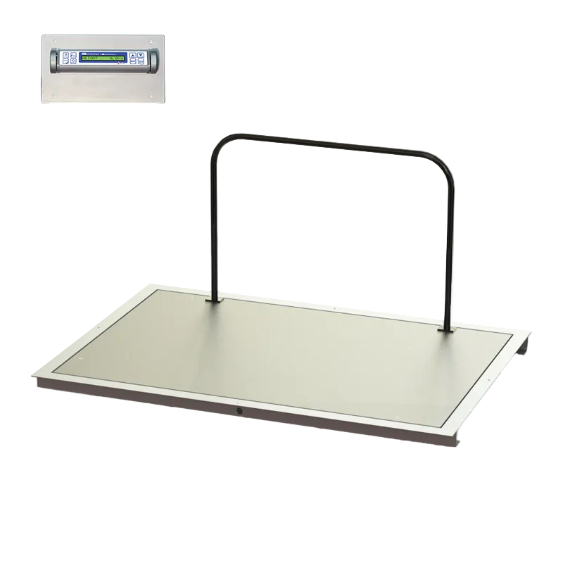48" x 60" In-Floor Scale (SR463iR-4)