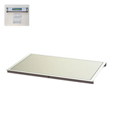 48" x 60" In-Floor Scale (SR463iR-4)