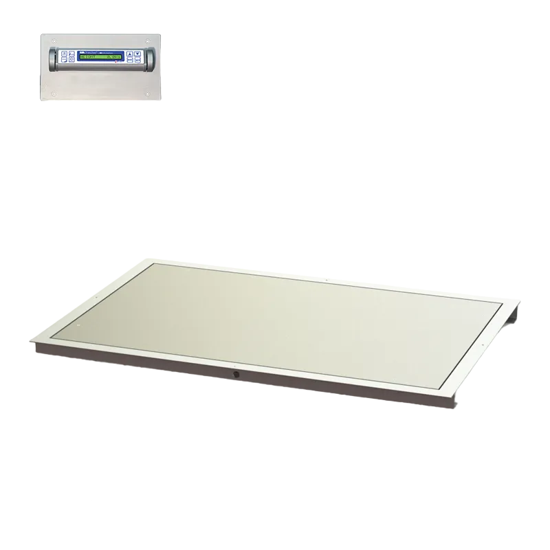 48" x 60" In-Floor Scale (SR463iR-4)