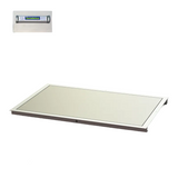 48" x 60" In-Floor Scale (SR463iR-4)