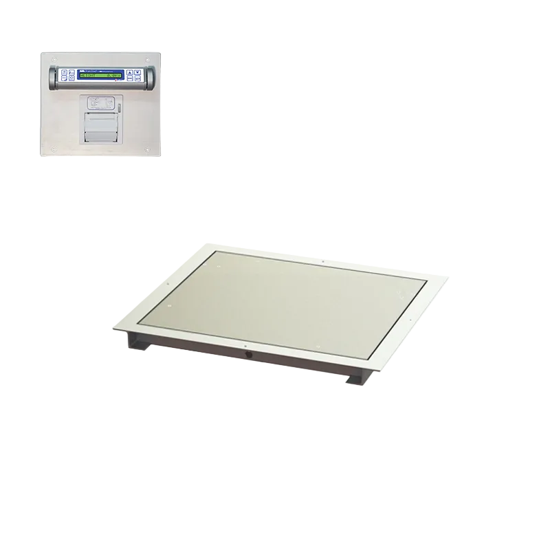 32" x 36" In-Floor Scale (SR463iR)