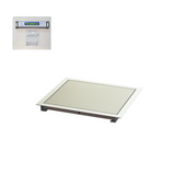32" x 36" In-Floor Scale (SR463iR)