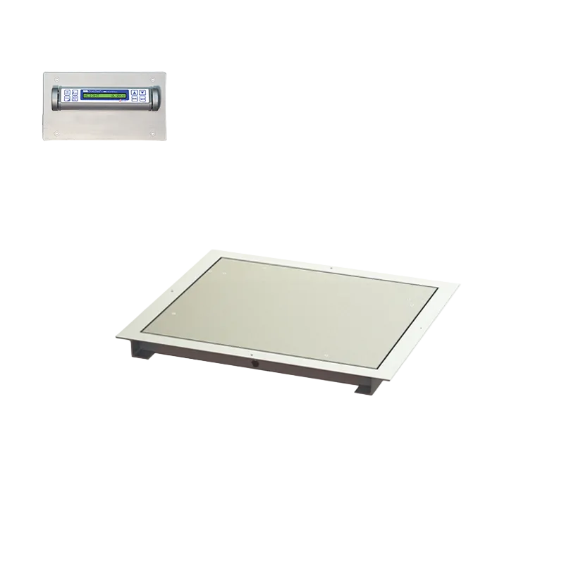 32" x 36" In-Floor Scale (SR463iR)