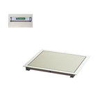 32" x 36" In-Floor Scale (SR463iR)