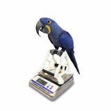 15KG Waterproof Avian Veterinary Scale (SRV330A)