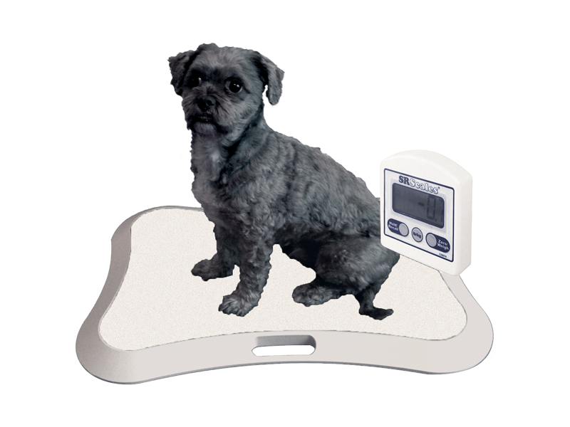 26" x 18" Veterinary Tabletop / Floor Scale (SRV411i)