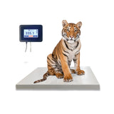 Zoo Platform Scale 36" x 54" Touch Screen Display (SRV709)