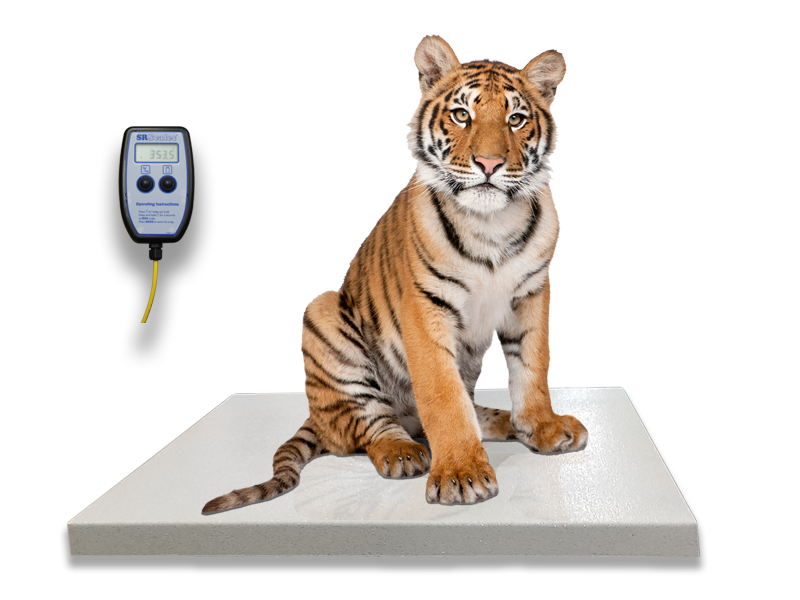 Mobile Platform Scale (SRV711B)